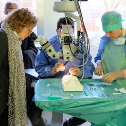Feierliche Eröffnung des Klaus Faber Zentrums für Hornhauterkrankungen an der Universitäts-Augenklinik Homburg/Saar.